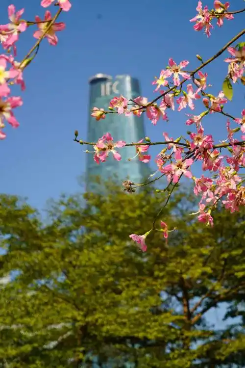天气晴朗阳光明媚_(天气晴朗阳光明媚句子)