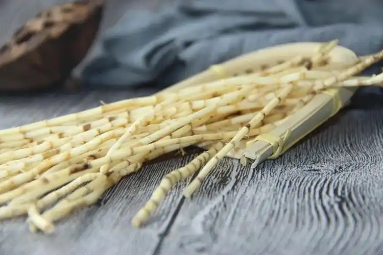 白茅根:药之草根