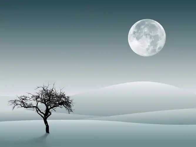 月色融融(月亮合集)