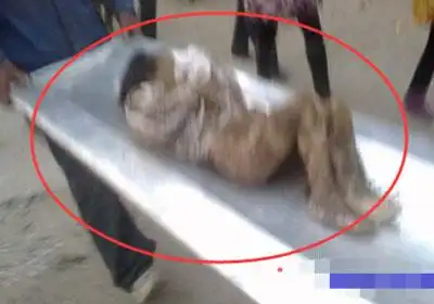 女童将大便拉裤子里被亲妈一脚踹死生前常