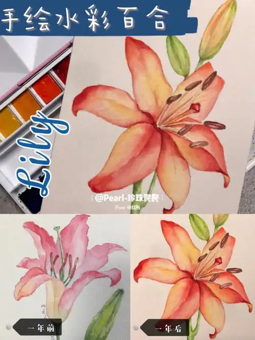 水彩原创初学入门级教程植物花卉香水百合