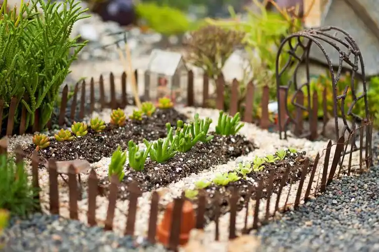 你从未见过的苔藓创意微景观【美图收藏】