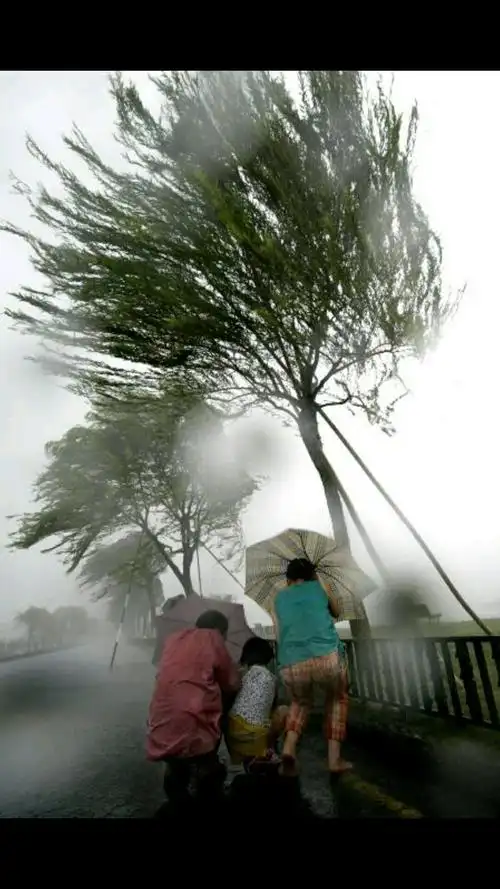 台风来了我们都很害怕特别是汕尾那边狂风大作.