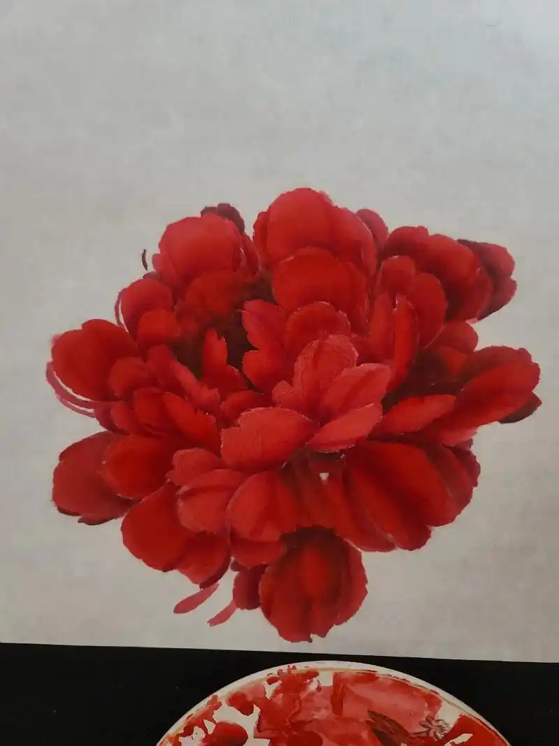 牡丹花头都画不好,就想着学画四尺的画,结果学到这里停下了,太 - 抖音