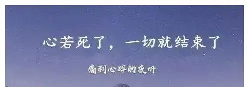 对老公失望心寒的句子