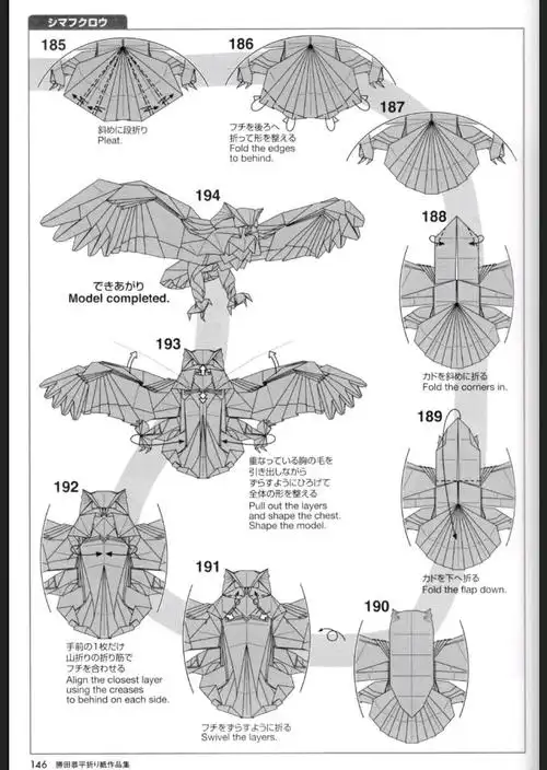 折纸胜田恭平猫头鹰