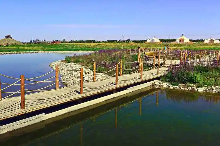 融媒体中心)阿拉善左旗城市园林绿化服务中心主任包腾和表示,下一步