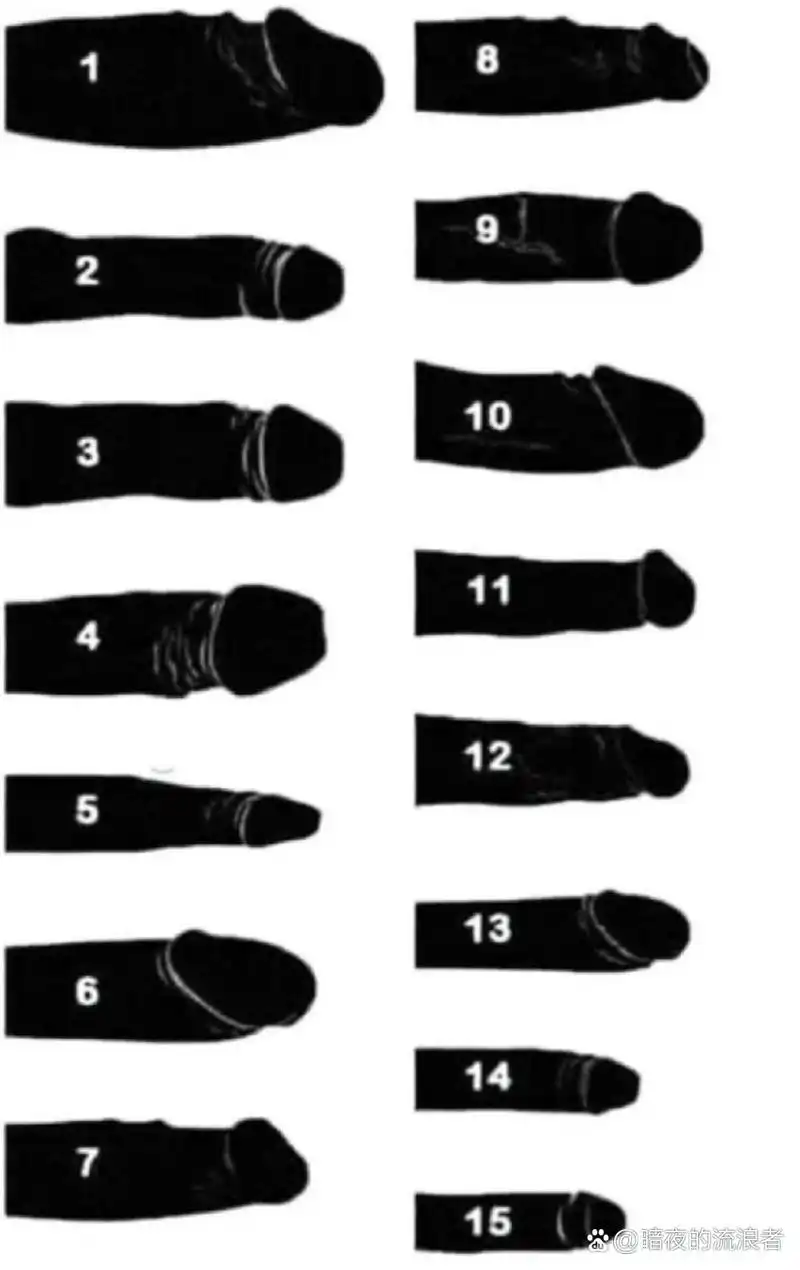 "围观第十八届亚洲男性尺寸锦标赛,我心中的冠军是……"