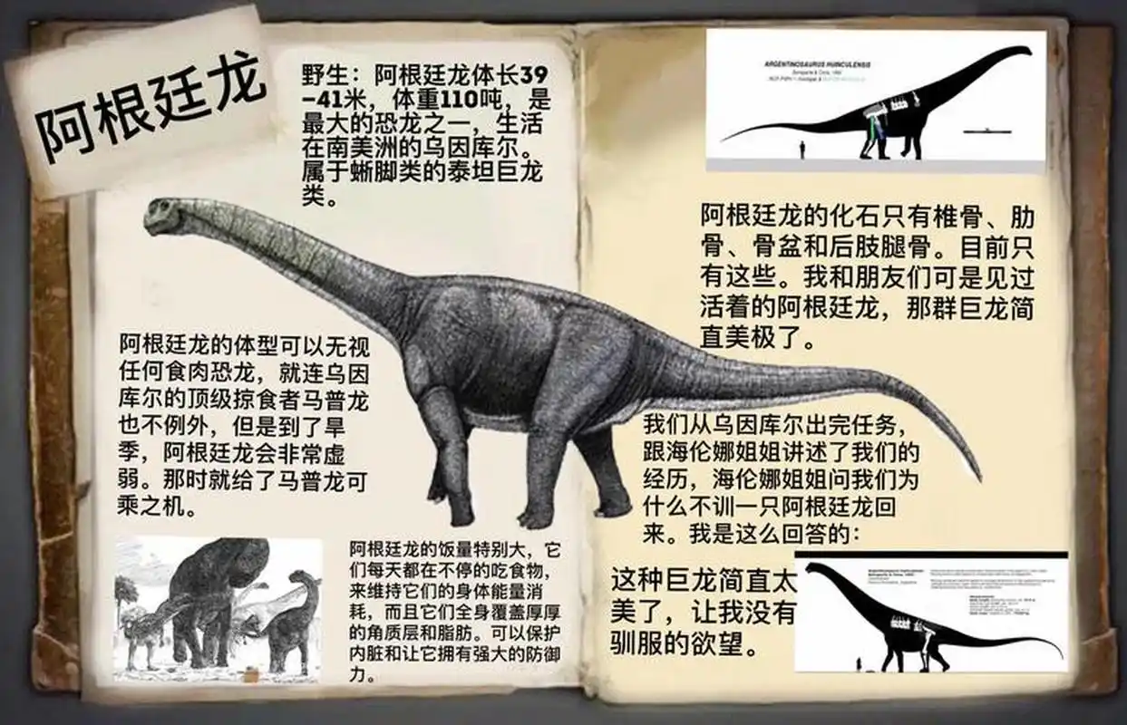 体型最庞大的食草恐龙之一——阿根廷龙         哇,这个大家伙真的是