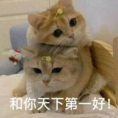 可爱表情包和你天下第一好