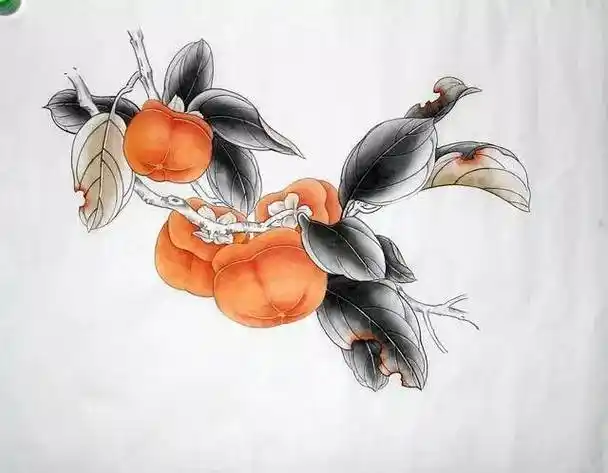 工笔柿子画法一学就会