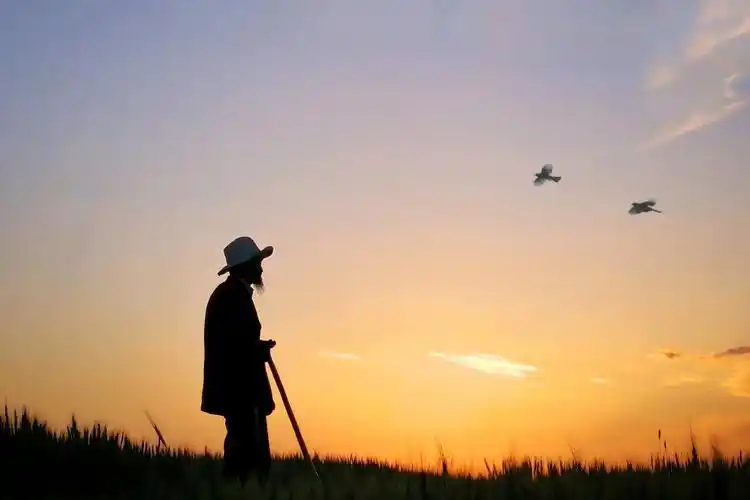 《夕阳下老人》(优秀作品)拍摄古浪县八步沙