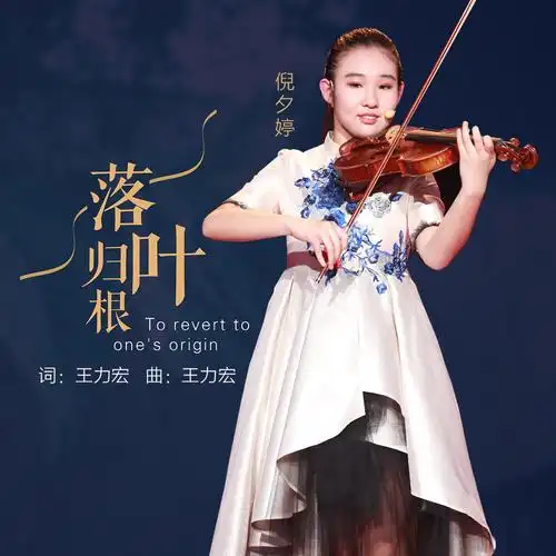倪夕婷落叶归根小提琴版