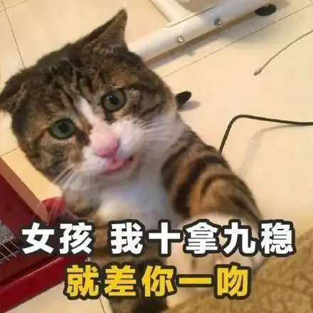 女孩我十拿九稳就差你一吻 - 土味情话合集_猫咪_撩妹撩汉表情