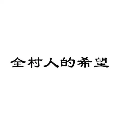 全村人的希望商标公告