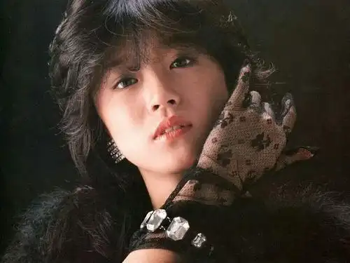 乖萌甜心的相册-中森明菜