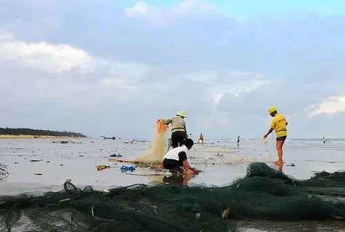 东海岛风情--拉网的渔民