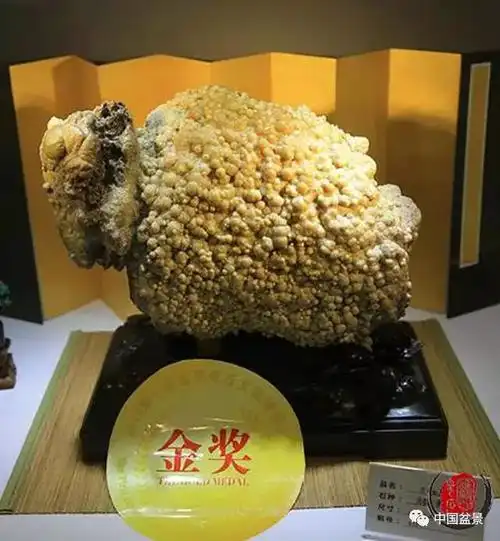 世界奇石文化博览会上的金奖作品长啥样快来见识一下