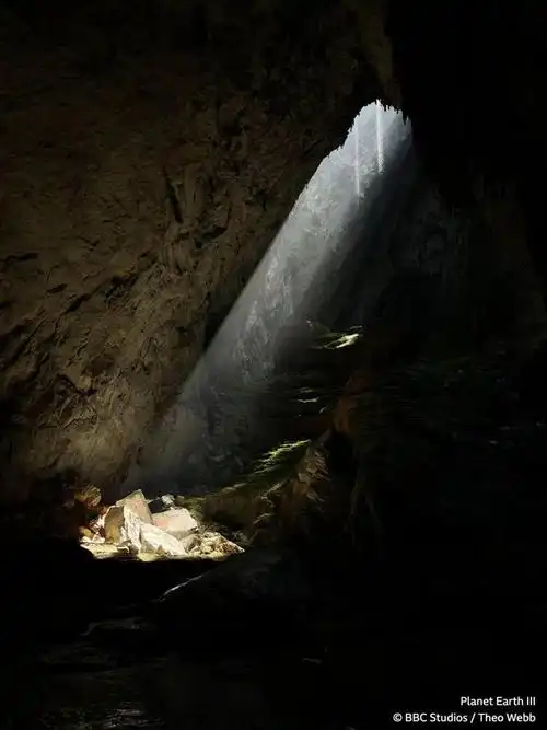 周末剧荒来看豆瓣97分自然纪录片里面还有许多宝藏目的地