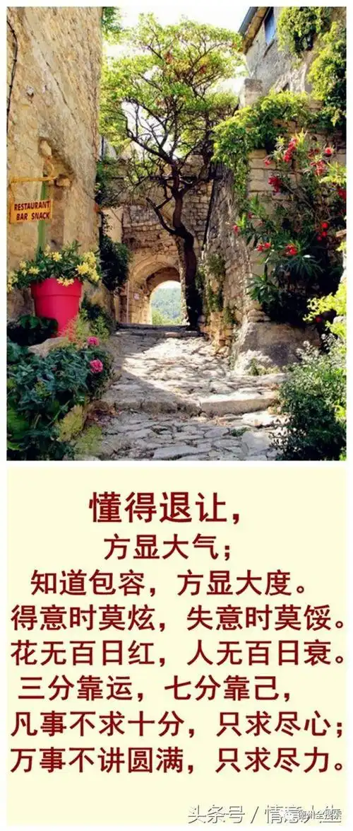 懂得退让方显大气,包容方显大度,成功时莫炫,失败时莫气馁.