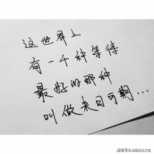 让人醒悟的哲理句子,精辟深刻,多读能提升阅历