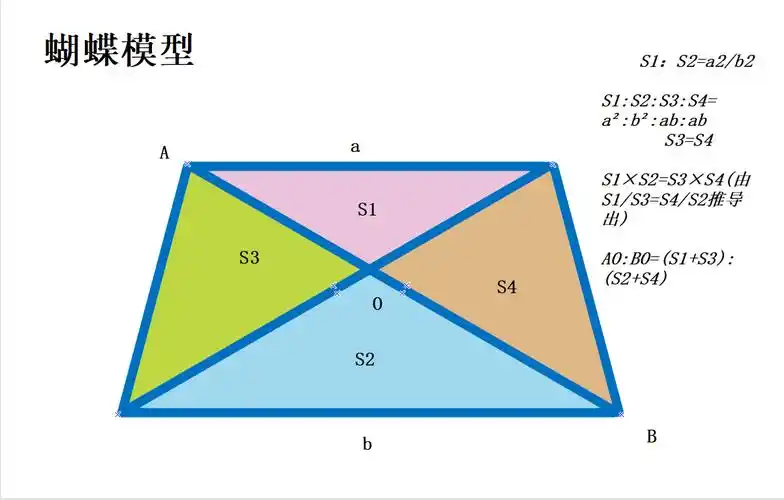 蝴蝶模型是什么5步了解好看蝴蝶模型图