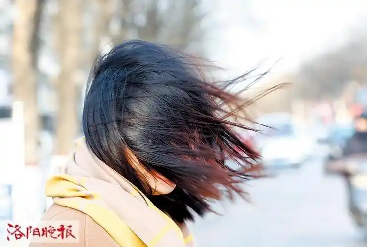 昨日,大风呼呼地刮,行人的发型在风中凌乱,脸和后脑勺傻傻分不清.