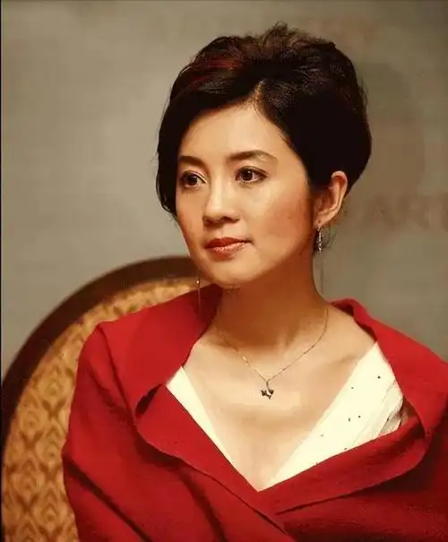 肖桦当初舍弃了一份高达百万年薪的工作,选择与丈夫丁健重新开始.