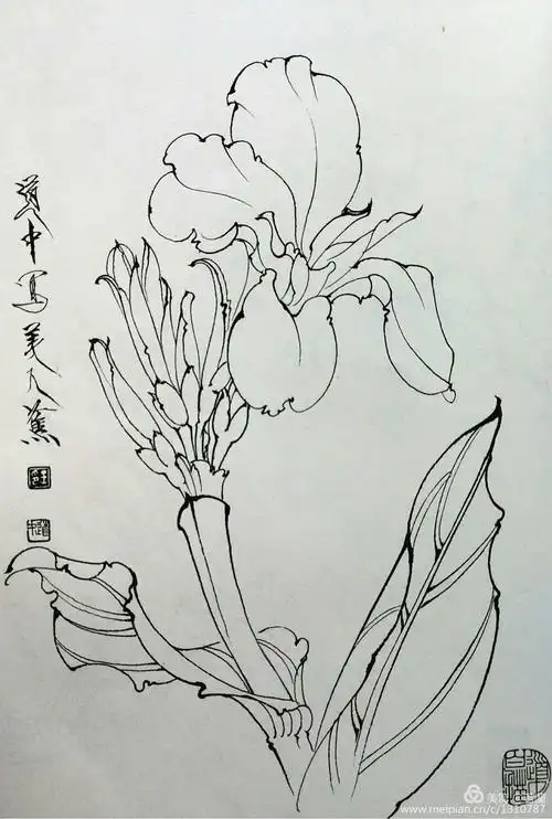 【乘愿再来 】佛绘教学 王剑云老师公益授课第二讲:白描线条习作点评