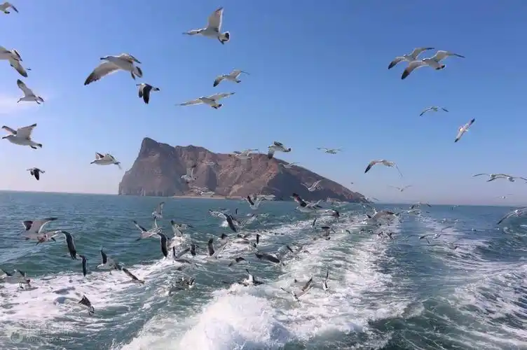 烟台夏季热门旅游景点 长岛风景区旅游攻略 免费语音导游