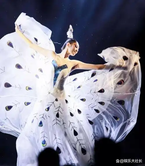 一说起杨丽萍,我们就会联想起她风姿绰约的孔雀舞,出道几十年来,为了