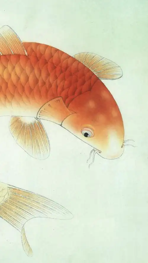 【新作】李晓明工笔横幅《富贵有鲤图》.含多张高清局部图及绘制步骤.