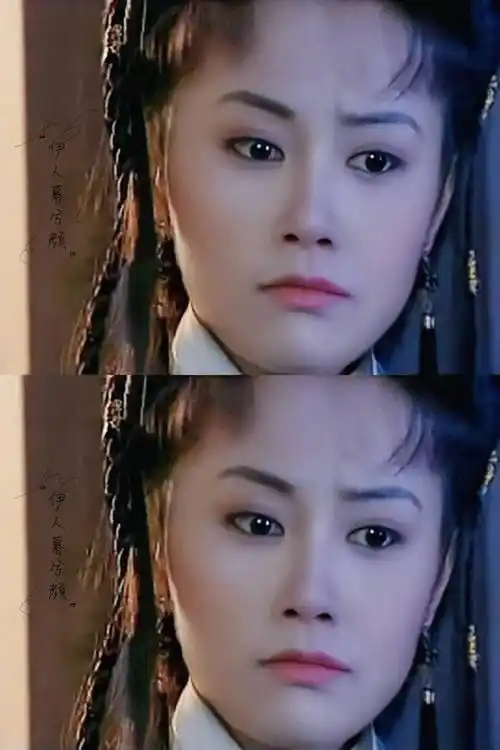 西游记后传——白莲花