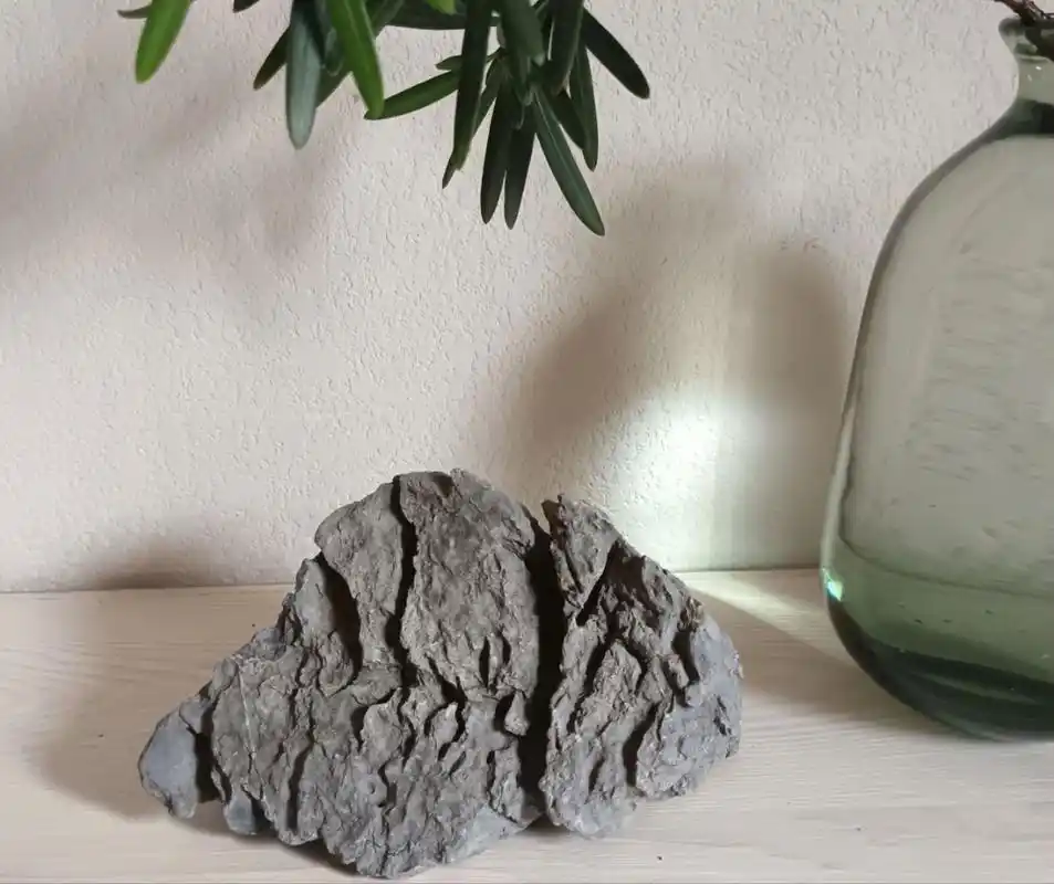 客户属99,要求找一块像兔子的石头.客户反馈:石头纹路超级好 - 抖音