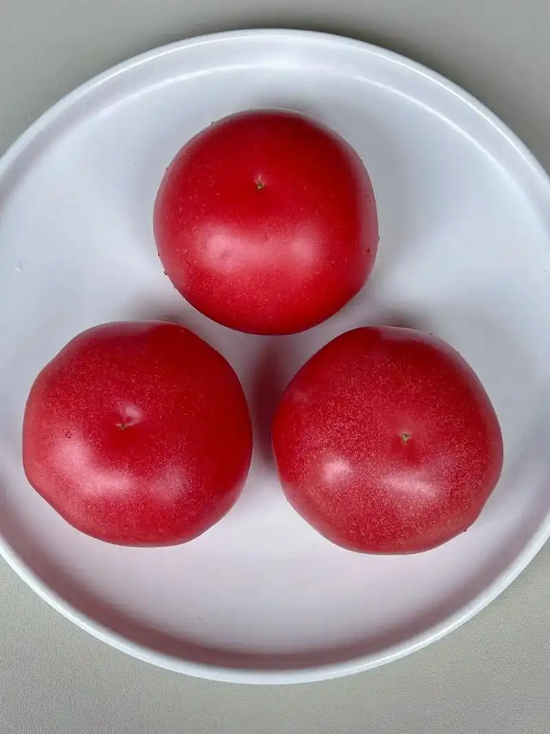 凉拌西红柿97清凉夏日必备,零难度!哇噻!这桂蜜拌水果91太 - 抖音