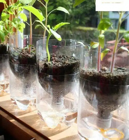 矿泉水瓶废物利用能做什么用在寝室