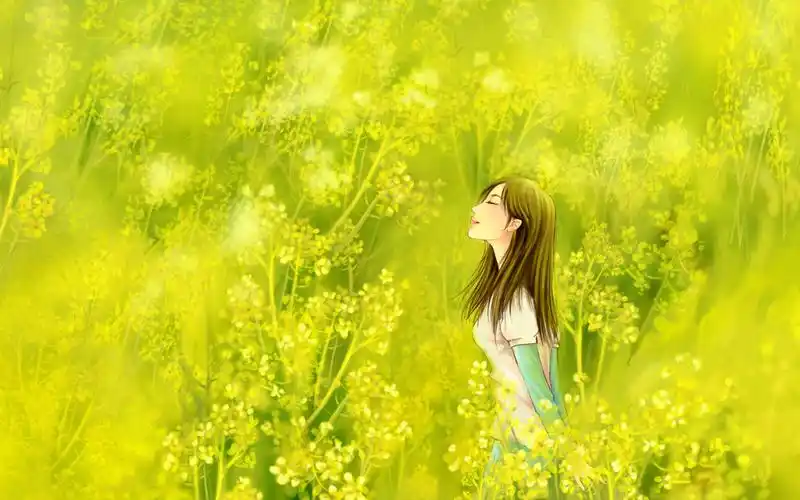 有没有适合中年人使用的朋友圈封面背景图? - 知乎