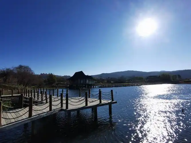 抚仙湖月亮湾湿地公园