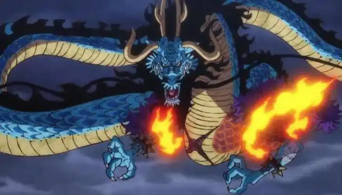 海贼王:凯多是鱼鱼果实,为何会是龙形态?答案显而易见