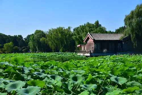 其它 圆明园掠影4 写美篇圆明园主要兴建于康熙末年和雍正朝,康熙四十