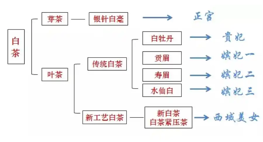 白茶中,真像"大白"的"小白"是什么来头?