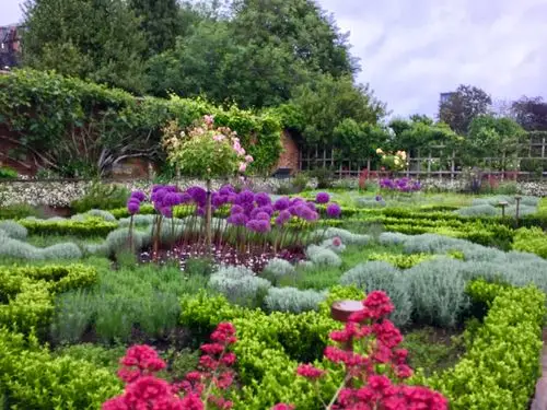 英伦大地之花草树木2