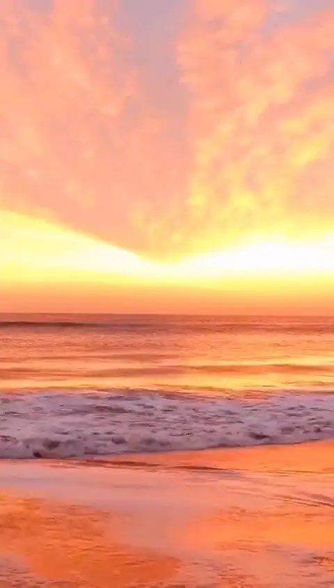 夕阳下的海边_新浪新闻