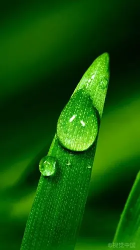 美丽的大自然*(ˊωˋ*)*