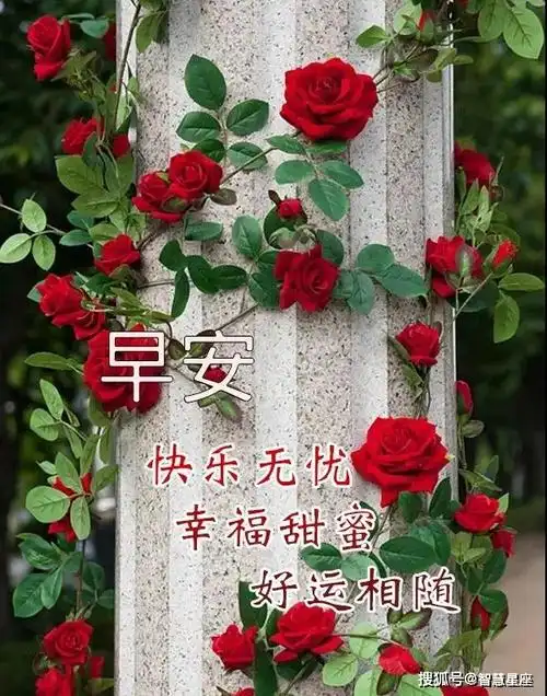 原创8张非常有创意好看的早安早上好图片带祝福语春天漂亮早上好祝福