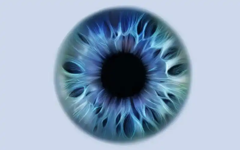 【procreate教程】如何画瞳孔