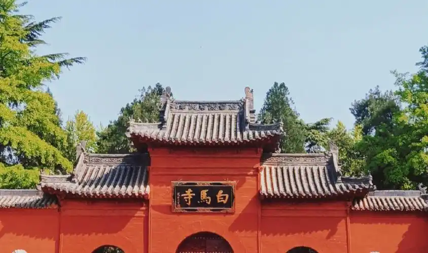 大学四年洛阳去过景点2白马寺神州牡丹园
