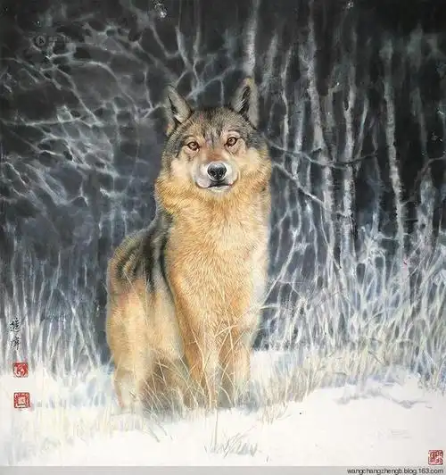 中国左家狼左进伟的工笔狼画欣赏