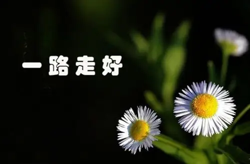 死者为大 希望老太太和其孙女婿一路走好