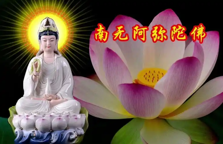 【南无阿弥陀佛】《一声佛号-声心》愿所求皆如愿,评论区留祝福.